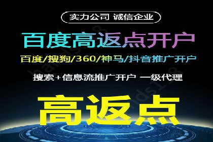 不同平台的SEM广告投放比较及成功案例分析